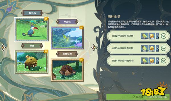 原神遍览深林任务攻略大合集 遍览深林四个活动任务要怎么做