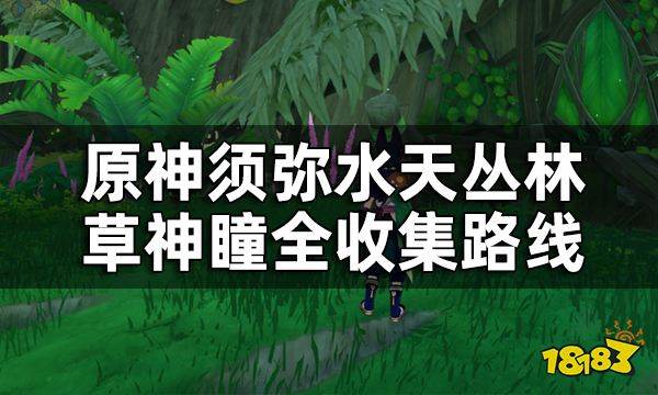 原神水天丛林草神瞳位置一览 须弥水天丛林草神瞳全收集路线