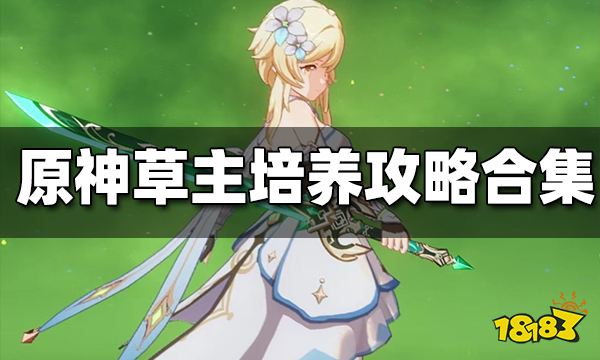 原神草主培养攻略合集 草主武器圣遗物配队攻略汇总