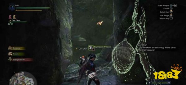 怪物獵人世界古代樹森林寶箱在哪 古代樹森林全寶箱位置攻略