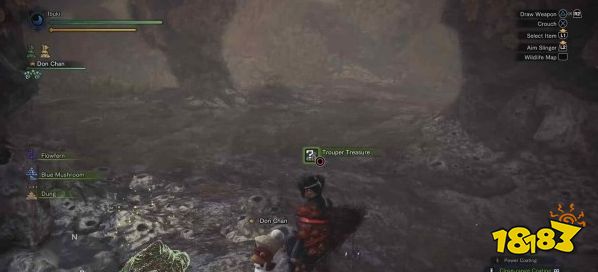怪物獵人世界陸珊瑚臺地寶箱在哪 陸珊瑚臺地全寶箱位置攻略
