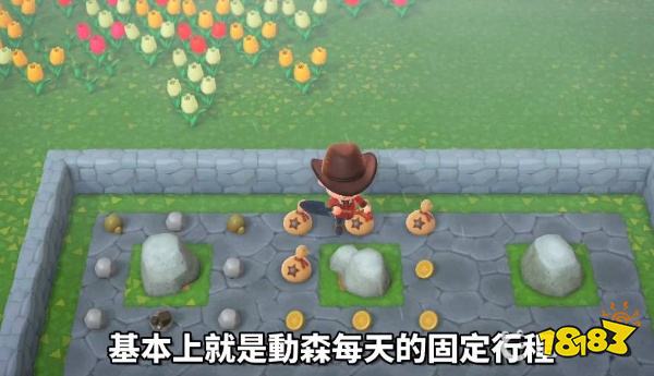 動(dòng)物森友會(huì)怎么刷金礦石 刷金礦石方法分享