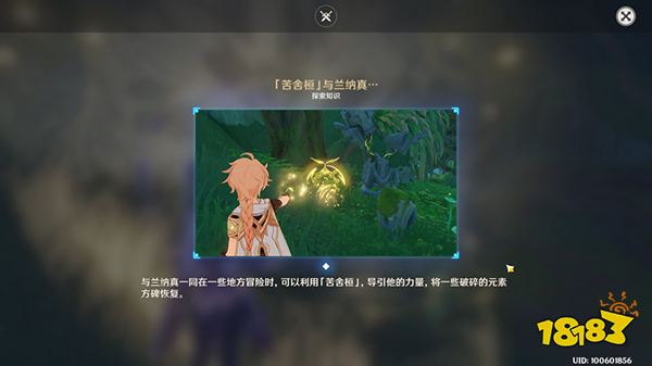 原神正法炬書任務攻略合集 正法炬書全流程超快攻略一覽