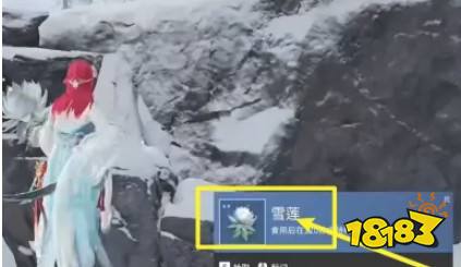 永劫無間火羅國雪蓮在哪 火羅國雪蓮位置一覽