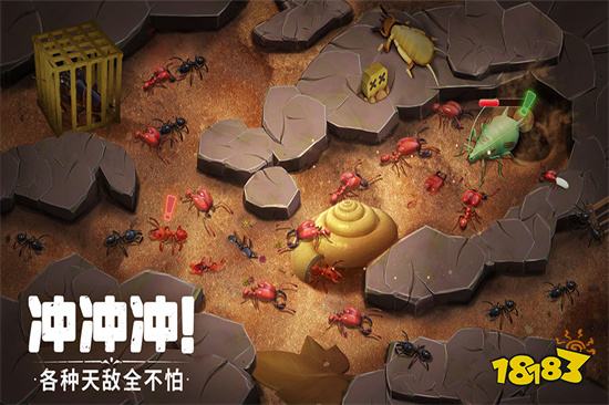 蚁族崛起神树之战官方版下载