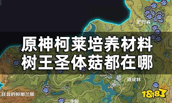 原神树王圣体菇收集路线一览 柯莱培养材料树王圣体菇都在哪