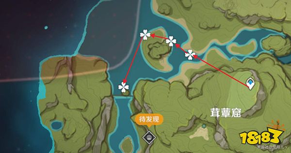 原神月莲收集路线一览 提纳里培养材料月莲都在哪