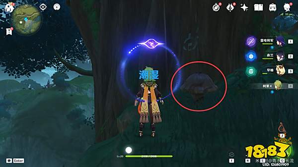 原神水天丛林7个印记解密方法 水天丛林树上的标记要怎么点亮