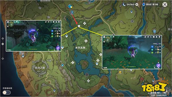 原神水天丛林7个印记解密方法 水天丛林树上的标记要怎么点亮