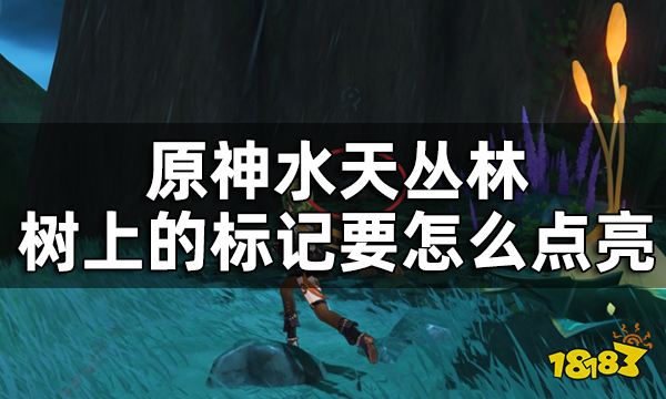 原神水天丛林7个印记解密方法 水天丛林树上的标记要怎么点亮