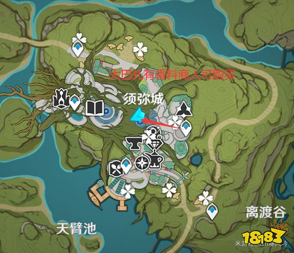 原神帕蒂沙兰效率收集路线一览 帕蒂沙兰都在哪收集