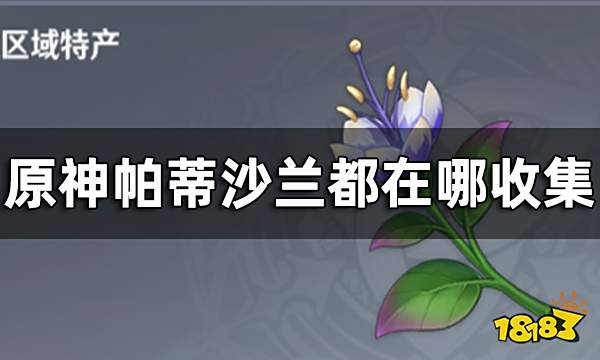原神帕蒂沙兰效率收集路线一览 帕蒂沙兰都在哪收集