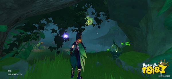 原神有顶塔旁两道绿色屏障怎么解开 水天丛林和荼柯之座之间的暗道怎么打通