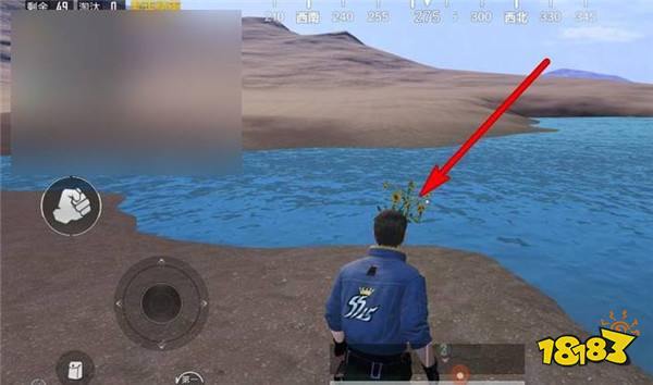 和平精英山谷向日葵位置介绍 山谷向日葵位置在哪