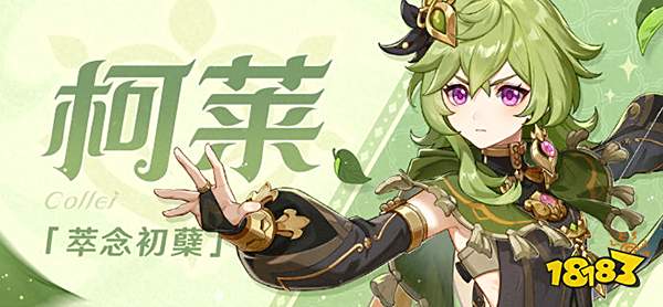 原神柯莱圣遗物词条推荐一览 柯莱圣遗物词条选什么好