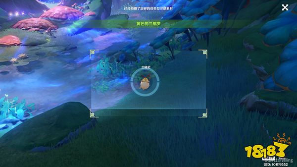 原神恒那兰那兰那罗拍摄攻略 不同颜色的兰那罗都在哪