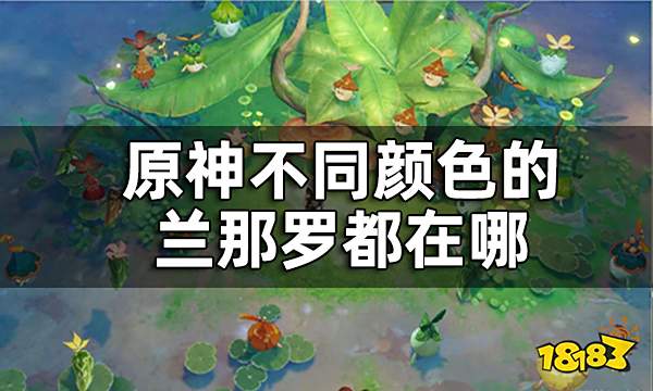 原神恒那兰那兰那罗拍摄攻略 不同颜色的兰那罗都在哪