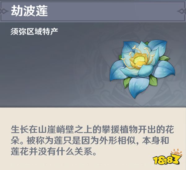 原神劫波蓮位置地點及路線一覽 劫波蓮怎么采
