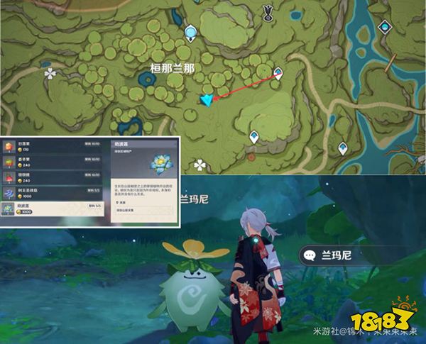 原神劫波蓮位置地點及路線一覽 劫波蓮怎么采