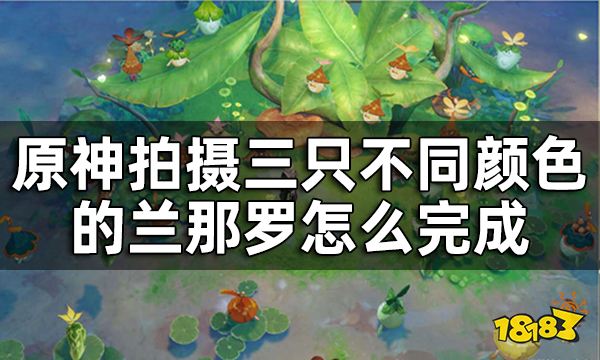 原神兰那罗拍照任务攻略 拍摄三只不同颜色的兰那罗怎么完成