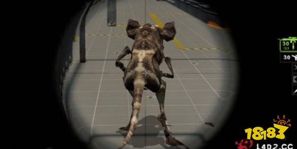 求生之路2怎么击败Jockey 击败Jockey技巧分享