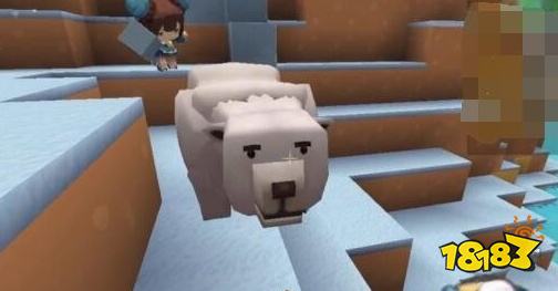 迷你世界雪熊怎么繁殖 雪熊繁殖方法分享