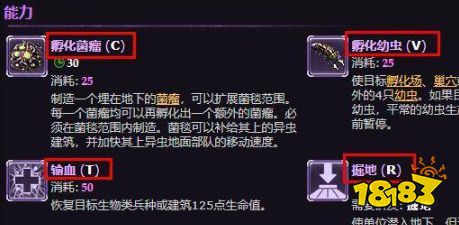 星际争霸皇后技能是什么 皇后技能介绍
