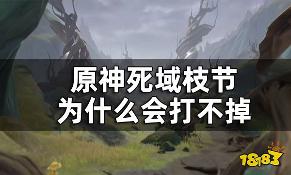 原神死域枝节打不掉怎么办 死域枝节为什么会打不掉
