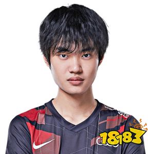 TESknight资料在哪看 tesknight选手资料介绍