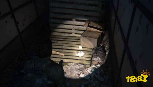 最后生还者重制版博物馆全收集攻略 博物馆收集品全位置