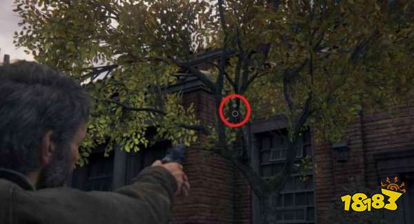 最后生还者重制版大角羊队全收集攻略 大角羊队收集品全位置