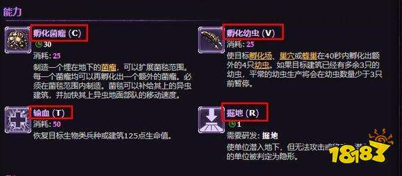 星际争霸皇后技能是什么 皇后技能操作介绍