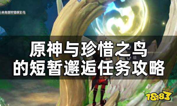 原神与珍惜之鸟的短暂邂逅任务攻略 与珍惜之鸟的短暂邂逅怎么触发