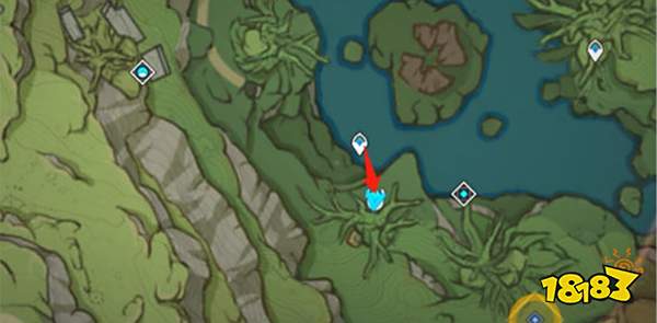 原神与珍惜之鸟的短暂邂逅任务攻略 与珍惜之鸟的短暂邂逅怎么触发