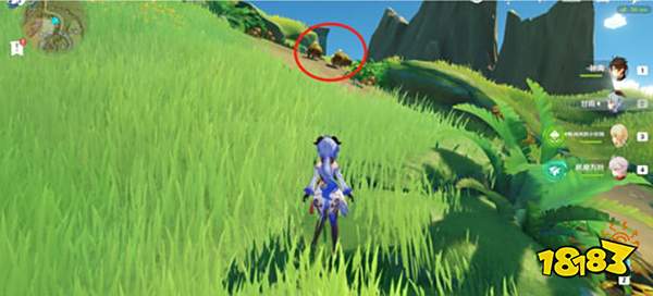 原神与珍惜之鸟的短暂邂逅任务攻略 与珍惜之鸟的短暂邂逅怎么触发