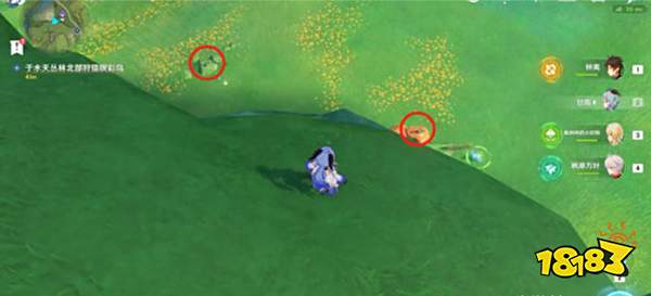 原神与珍惜之鸟的短暂邂逅任务攻略 与珍惜之鸟的短暂邂逅怎么触发