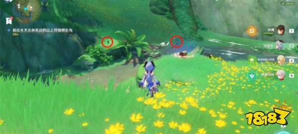 原神与珍惜之鸟的短暂邂逅任务攻略 与珍惜之鸟的短暂邂逅怎么触发