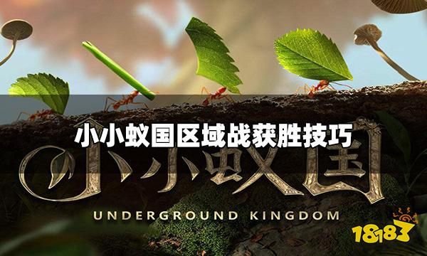 小小蚁国最强区域战怎么玩 区域战获胜技巧