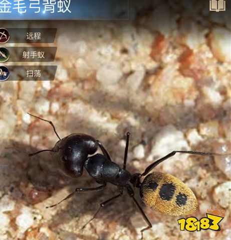 小小蚁国金毛弓背蚁技能如何用 金毛弓背蚁技能详解