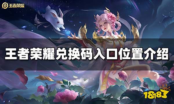 王者荣耀兑换码入口在哪里 兑换码入口位置介绍