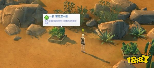 模擬人生4特殊種子有那些 特殊種子獲得方法