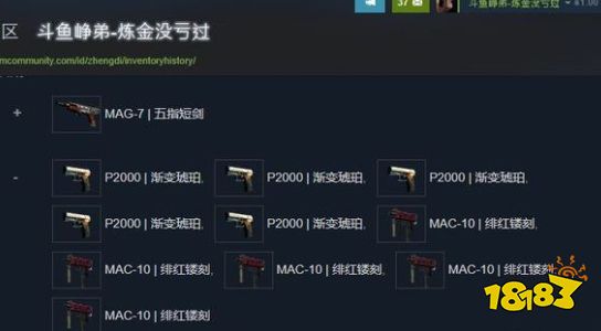 CSGOak47野荷的炼金配方 ak47野荷炼金配方大全