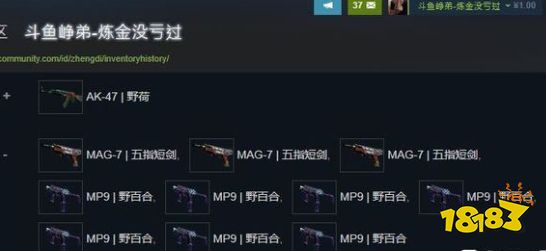 CSGOak47野荷的炼金配方 ak47野荷炼金配方大全