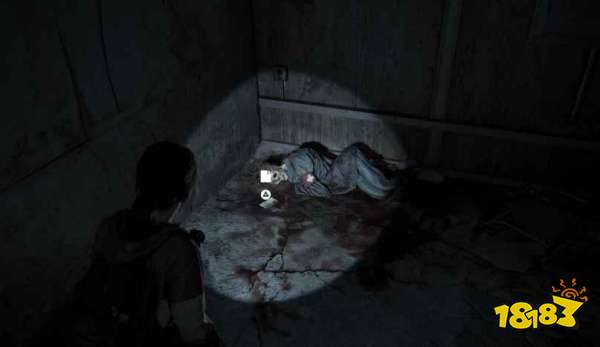 最后生还者重制版敌人的敌人章节全收集 敌人的敌人收集品全位置