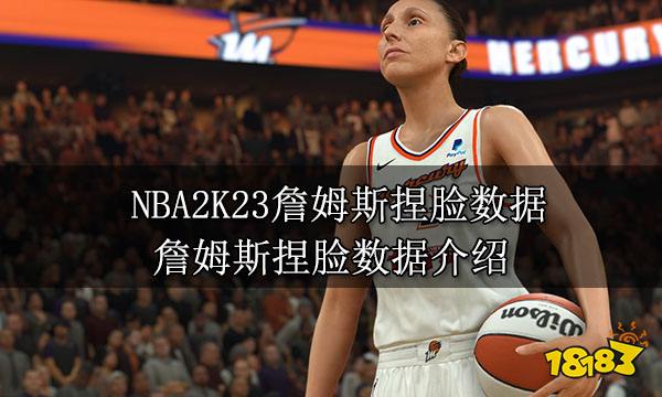 NBA2K23詹姆斯捏脸数据 詹姆斯捏脸数据介绍