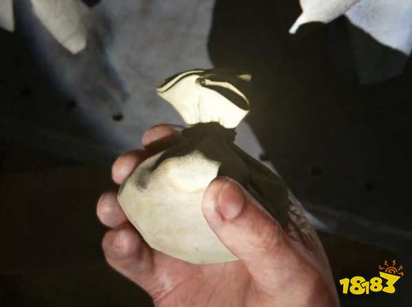 最后生还者重制版烟雾弹在哪获得 烟雾弹获得位置