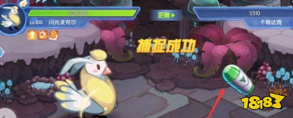 赛尔号卡斯达克在哪抓 卡斯达克抓取方法介绍