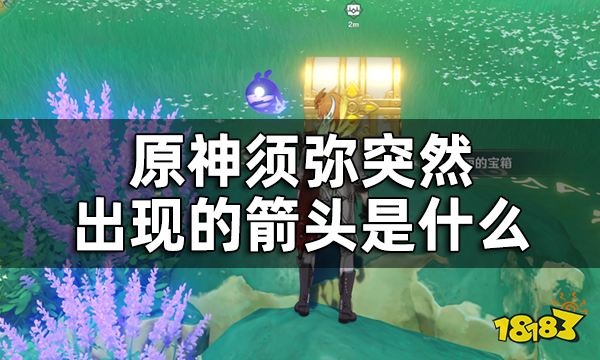 原神须弥三箭头指引的华丽宝箱获取方法攻略 须弥突然出现的箭头是什么