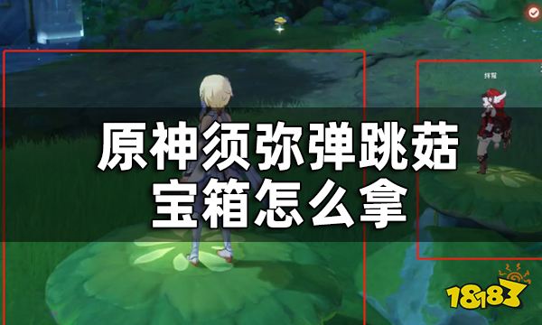原神须弥三个弹跳菇隐藏宝箱收集攻略 须弥弹跳菇宝箱怎么拿