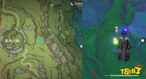 原神须弥隐藏宝箱获取攻略 须弥都有哪些阴间宝箱